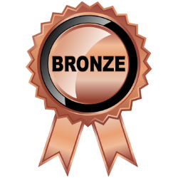 Service - Bronze Boostweb Indo