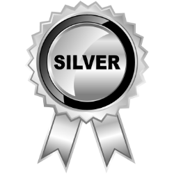 Service - Silver Boostweb Indo